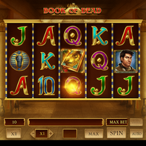 Robocat Casino - Book of Dead Slot Game